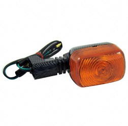 Blinker S53 carbon Look mit 12 V 10 W Birne