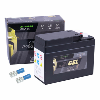 Batterie INTACT Gel Akku 12V 2,5Ah Schwalbe mit VAPE Batterie INTACT Gel Akku 12V 2,5Ah Schwalbe mit VAPE